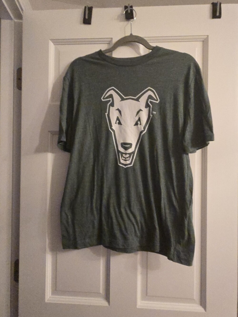 NWOT Men's Loyola Grayhounds Graphic Print Green T-Shirt Size M